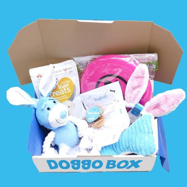 Doggo Box Subscription Contents